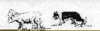 Description: Description: C:\Users\Rusty\Documents\NCWSA\Publish\page2_files\img2.jpg